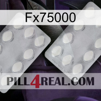 Fx75000 17